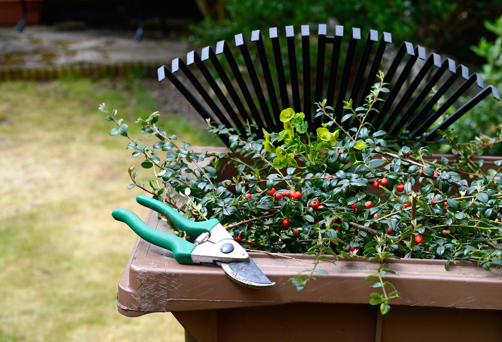 Green Waste Skip Bin Hire Brisbane